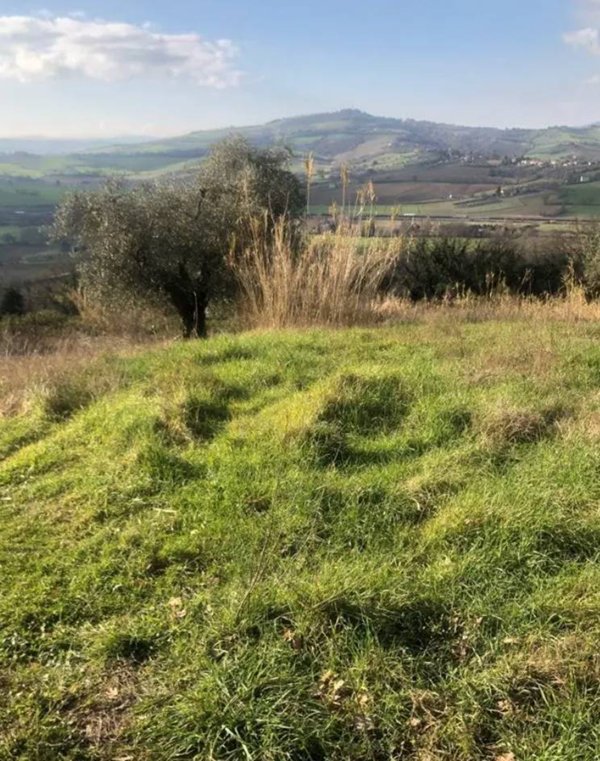 terreno edificabile in vendita a Gradara in zona Granarola