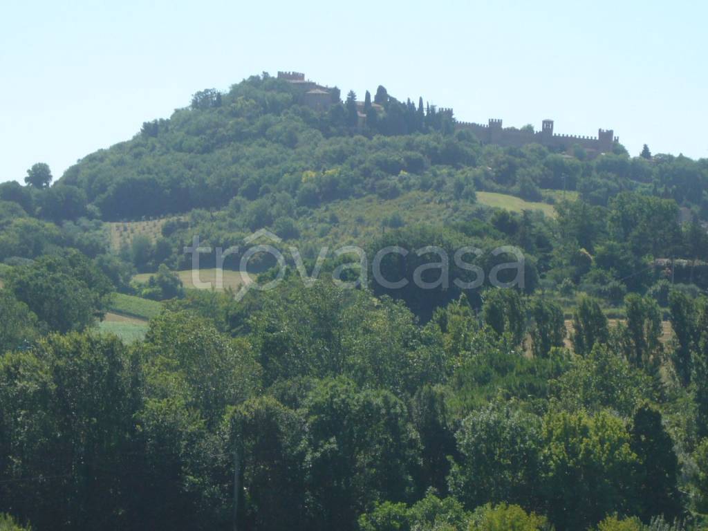 terreno agricolo in vendita a Gradara