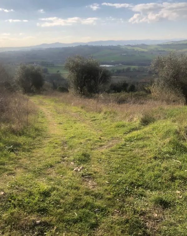 terreno edificabile in vendita a Gradara in zona Granarola