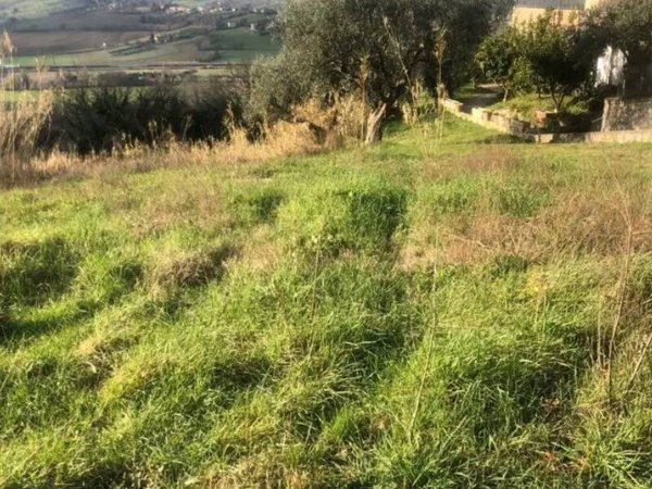 terreno edificabile in vendita a Gradara in zona Granarola