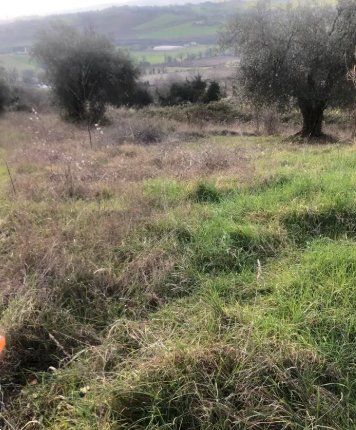terreno edificabile in vendita a Gradara in zona Granarola