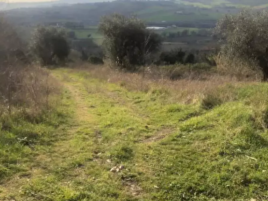 terreno edificabile in vendita a Gradara in zona Granarola