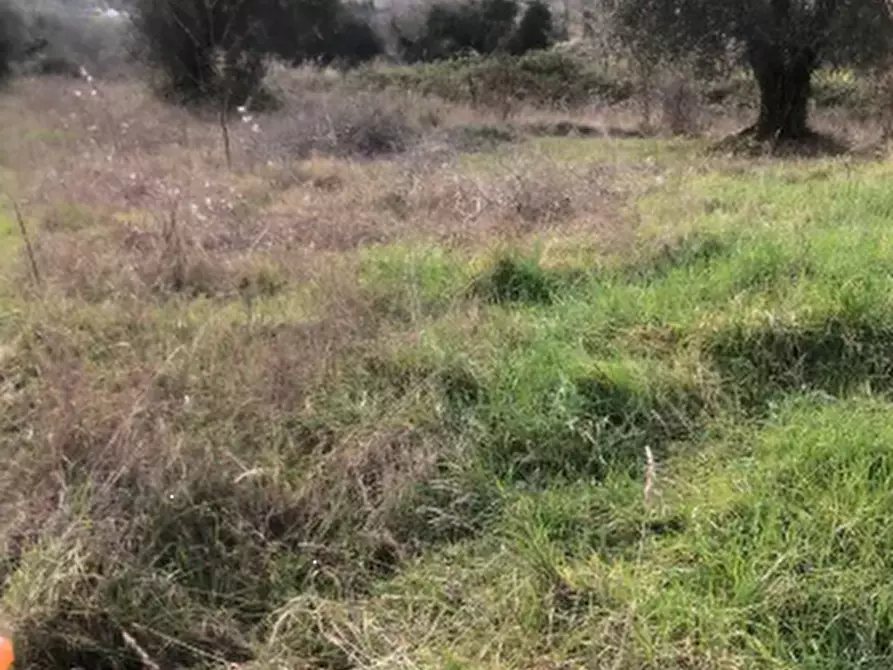 terreno edificabile in vendita a Gradara in zona Granarola