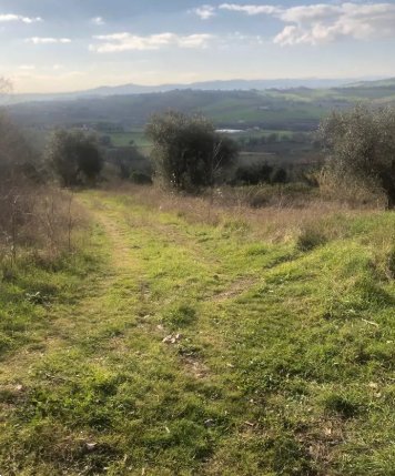 terreno edificabile in vendita a Gradara in zona Granarola
