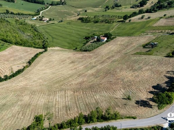 terreno agricolo in vendita a Gradara