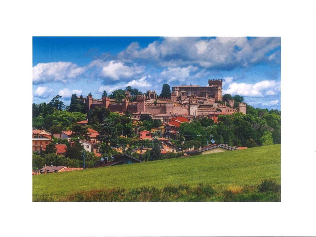 terreno agricolo in vendita a Gradara