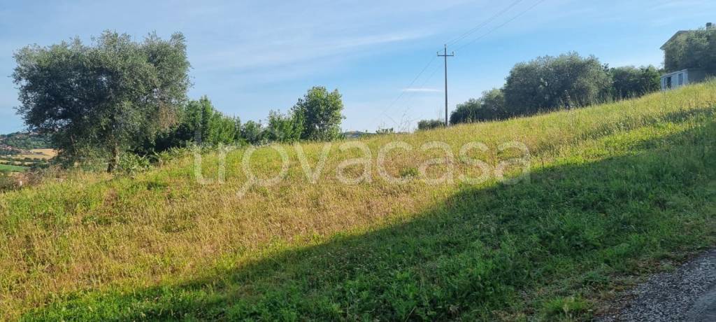 terreno agricolo in vendita a Gradara