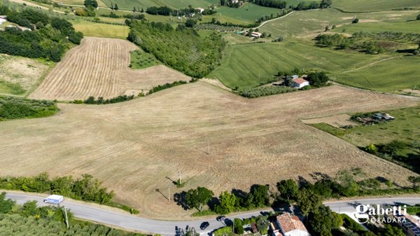 terreno agricolo in vendita a Gradara