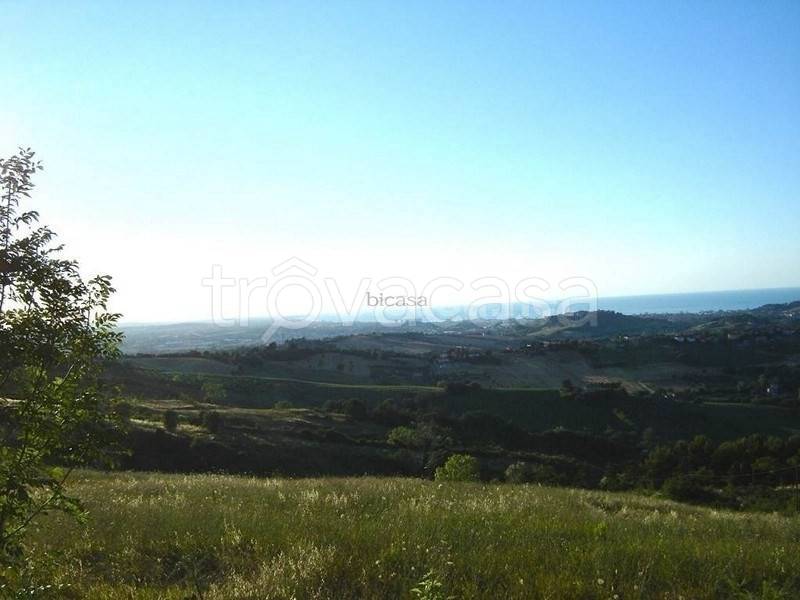terreno agricolo in vendita a Gradara