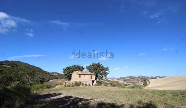esavano in vendita ad Isola del Piano