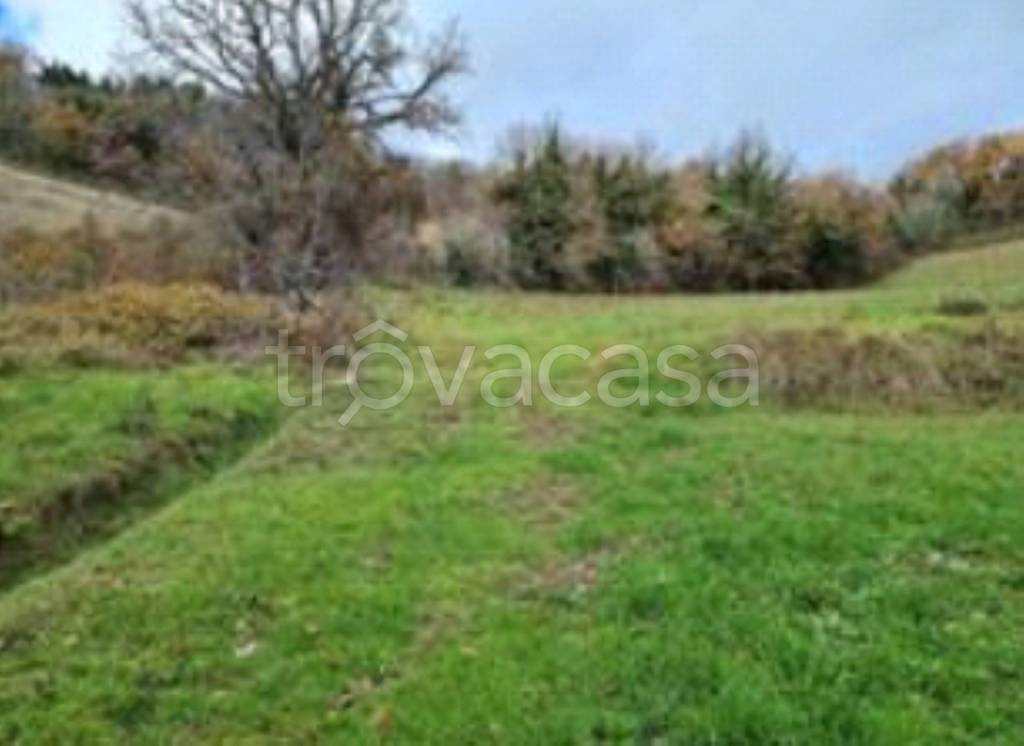 terreno agricolo in vendita a Macerata Feltria