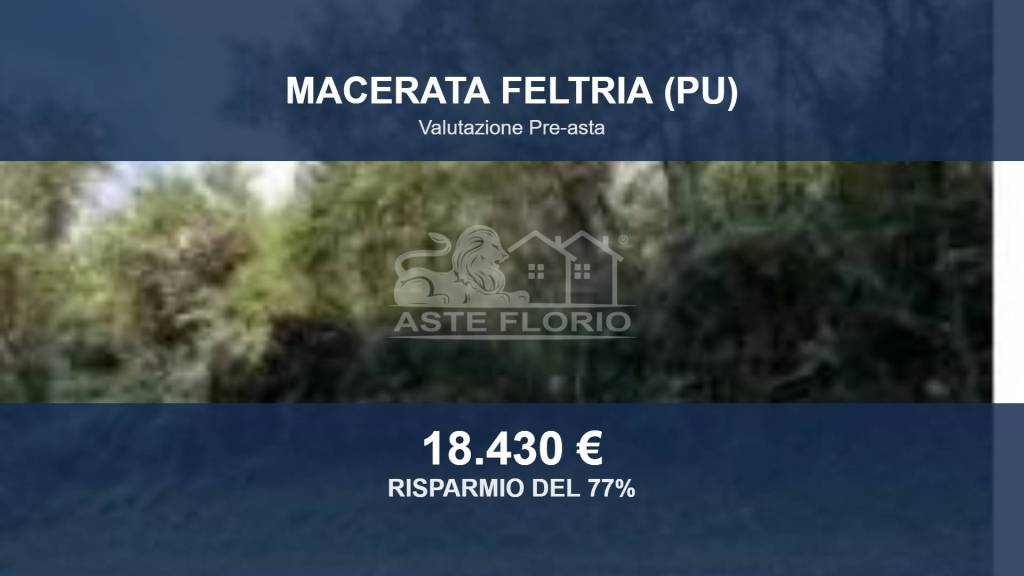 terreno agricolo in vendita a Macerata Feltria
