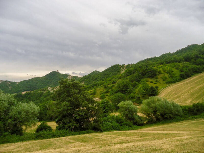 terreno agricolo in vendita a Mercatello sul Metauro