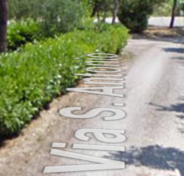 terreno agricolo in vendita a Mombaroccio