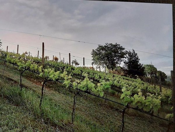 loft in vendita a Mombaroccio