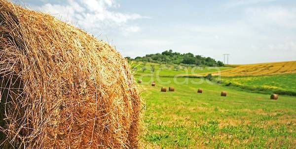 terreno agricolo in vendita a Mombaroccio