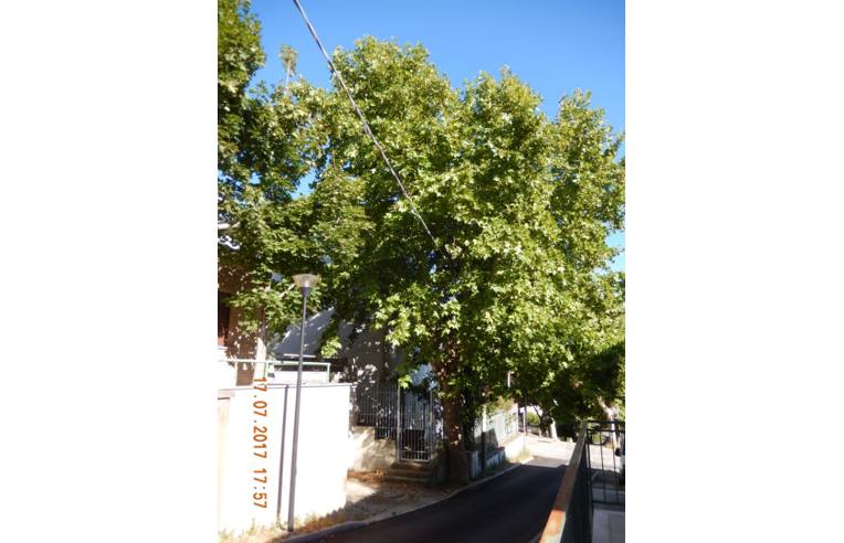 casa indipendente in vendita a Mombaroccio