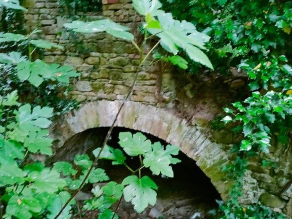 casa indipendente in vendita a Mombaroccio in zona Montegiano