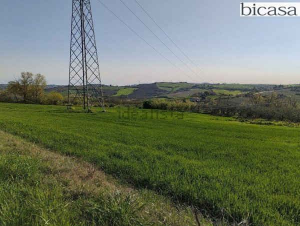 terreno agricolo in vendita a Mombaroccio