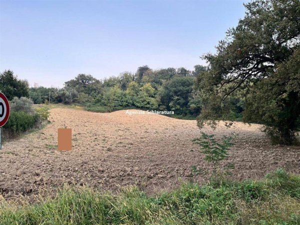 terreno agricolo in vendita a Mombaroccio