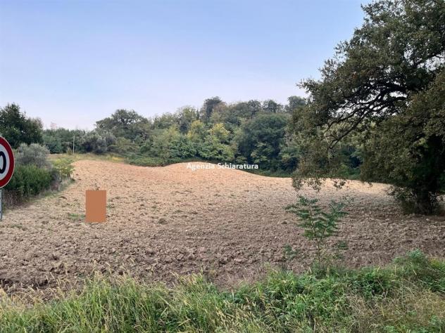 terreno agricolo in vendita a Mombaroccio