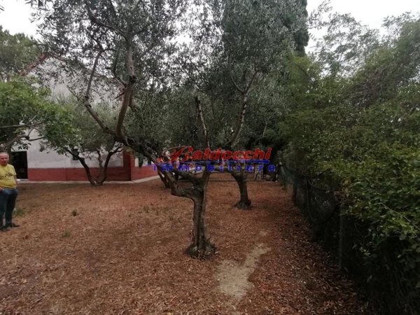 casa indipendente in vendita a Mombaroccio in zona Montegiano
