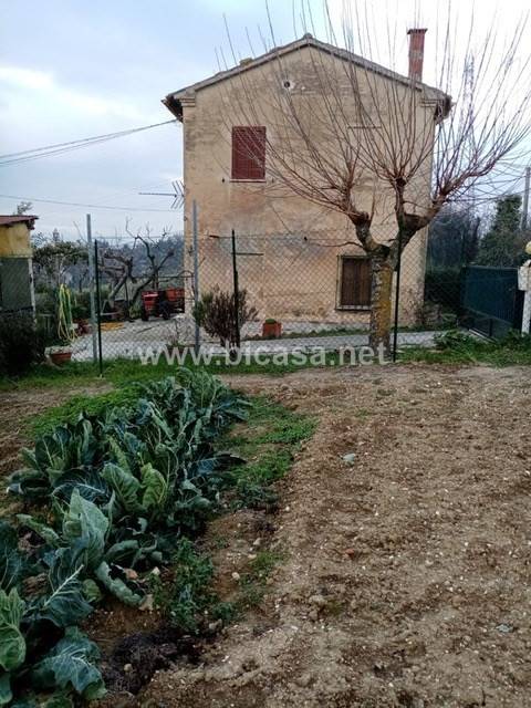 casa indipendente in vendita a Mondavio in zona Sant'Andrea di Suasa