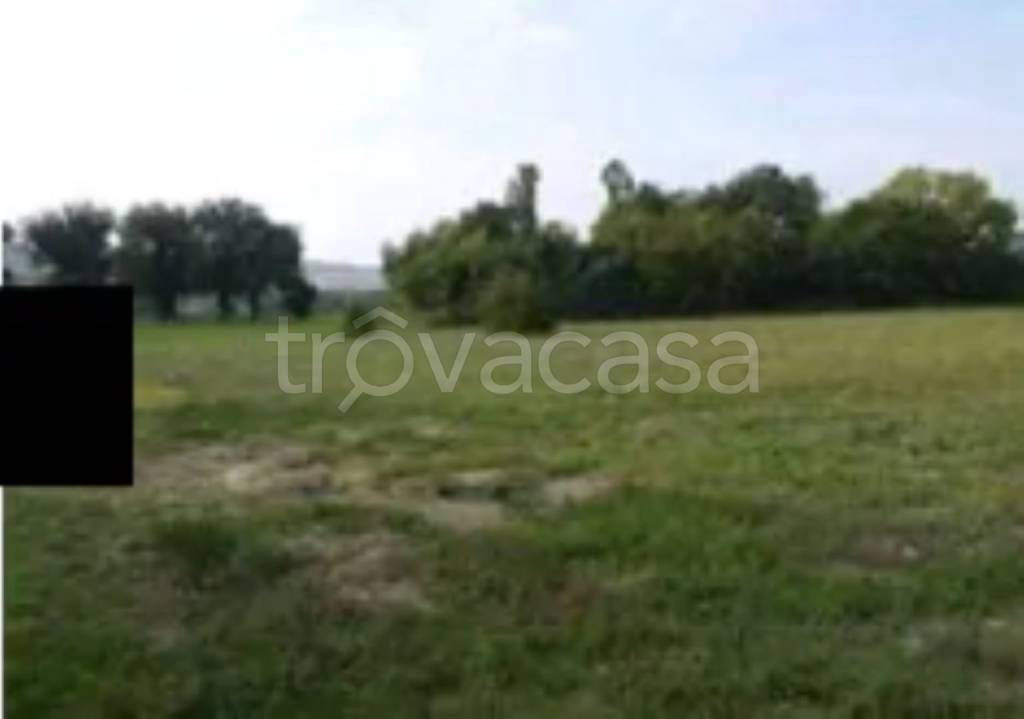 terreno agricolo in vendita a Mondavio