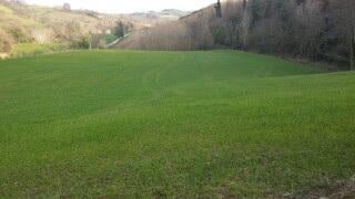 appartamento in vendita a Mondavio