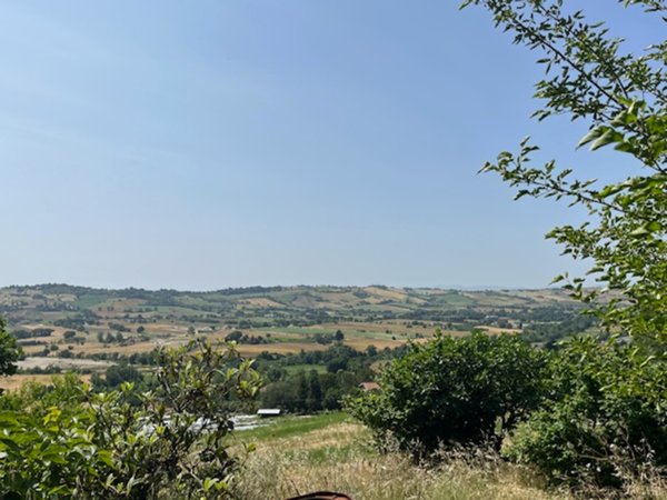 casa indipendente in vendita a Mondavio