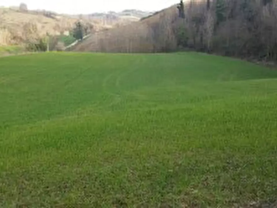 terreno agricolo in vendita a Mondavio