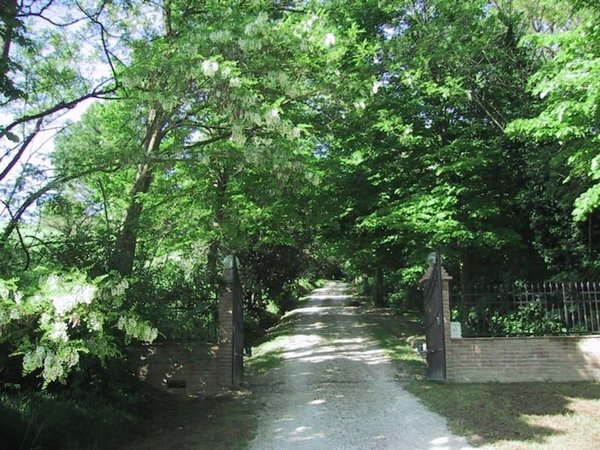 casa indipendente in vendita a Mondavio