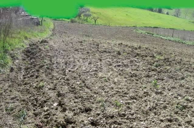 monolocale in vendita a Mondavio