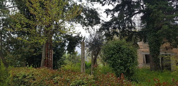 casa indipendente in vendita a Mondavio in zona Sant'Andrea di Suasa