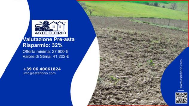 terreno agricolo in vendita a Mondavio