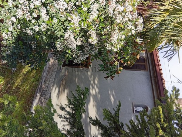 casa indipendente in vendita a Mondavio