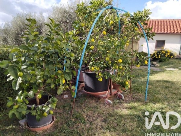 casa indipendente in vendita a Mondavio