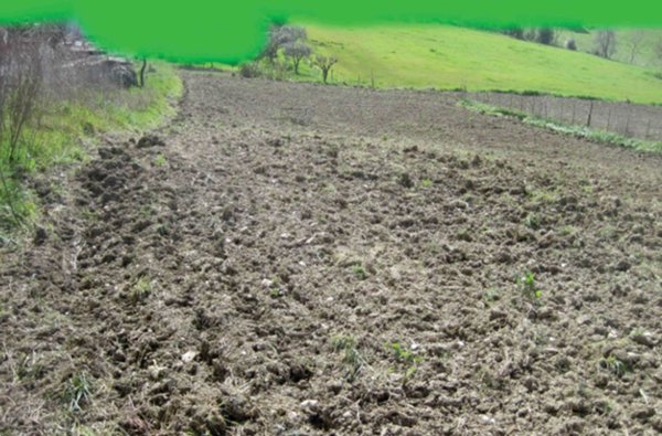 terreno edificabile in vendita a Mondavio