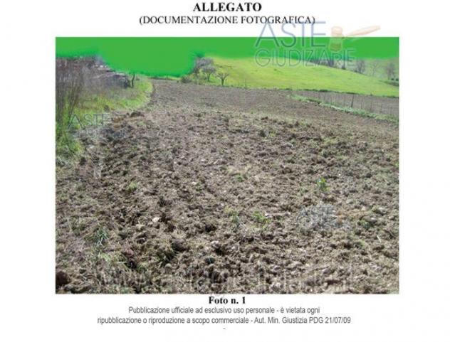 terreno agricolo in vendita a Mondavio