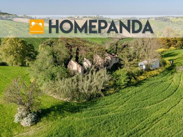 terreno agricolo in vendita a Mondavio
