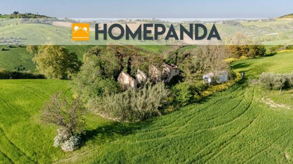 terreno agricolo in vendita a Mondavio in zona Sant'Andrea di Suasa