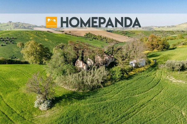 terreno agricolo in vendita a Mondavio in zona Sant'Andrea di Suasa