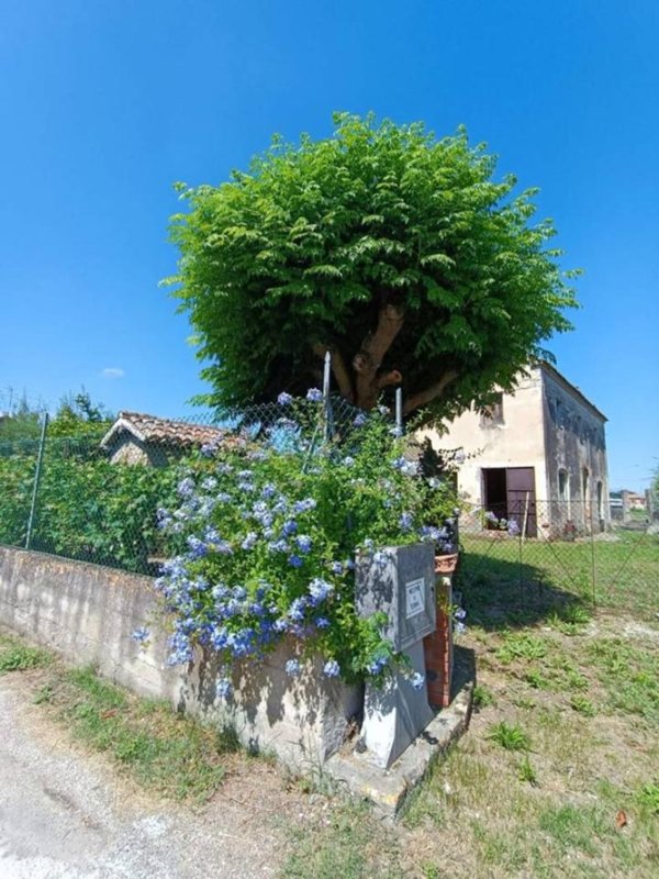 casa indipendente in vendita a Mondolfo in zona Molino Vecchio