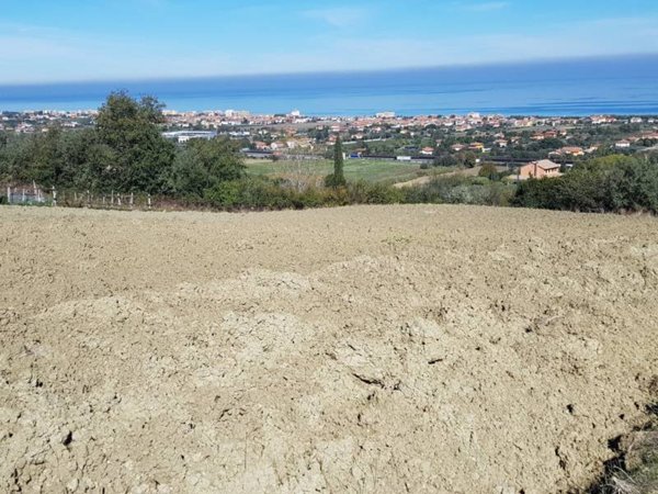 terreno agricolo in vendita a Mondolfo