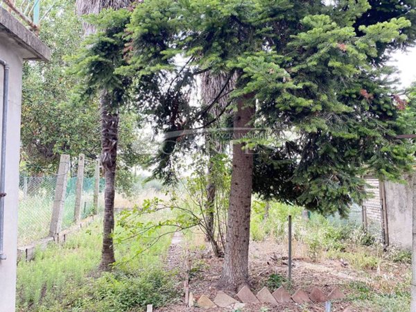 casa indipendente in vendita a Mondolfo