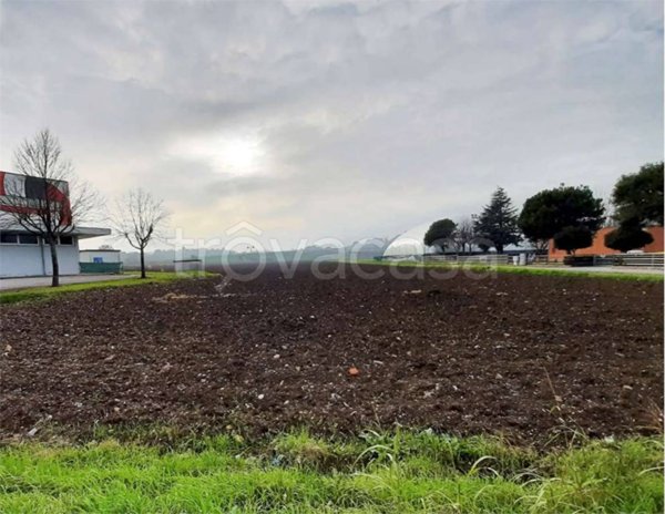 appartamento in vendita a Mondolfo in zona Marotta