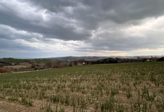 terreno edificabile in vendita a Mondolfo