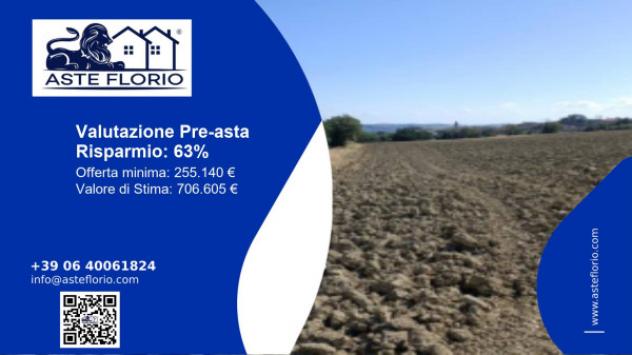 terreno agricolo in vendita a Mondolfo