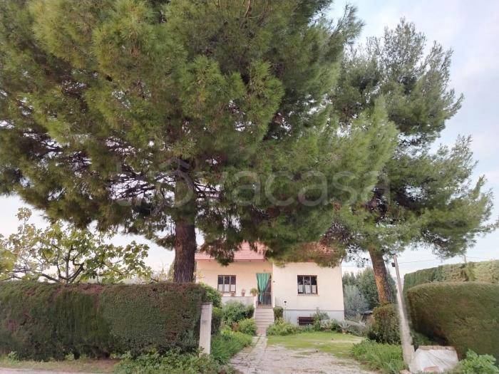 casa indipendente in vendita a Mondolfo