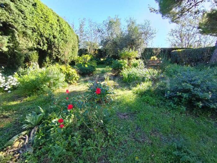 casa indipendente in vendita a Mondolfo